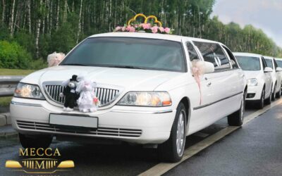 Wedding transportation Charleston, SC