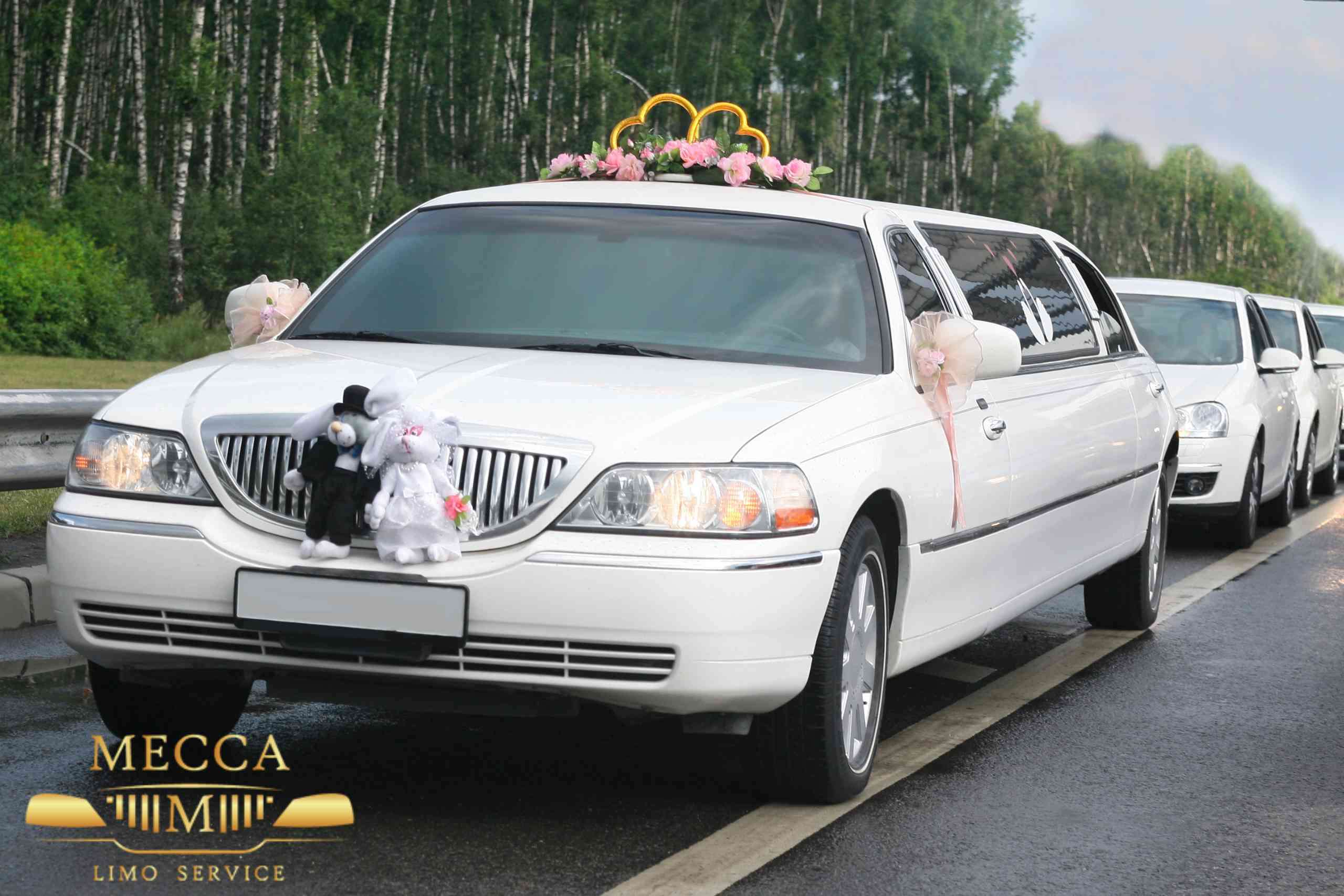 Wedding transportation Charleston, SC