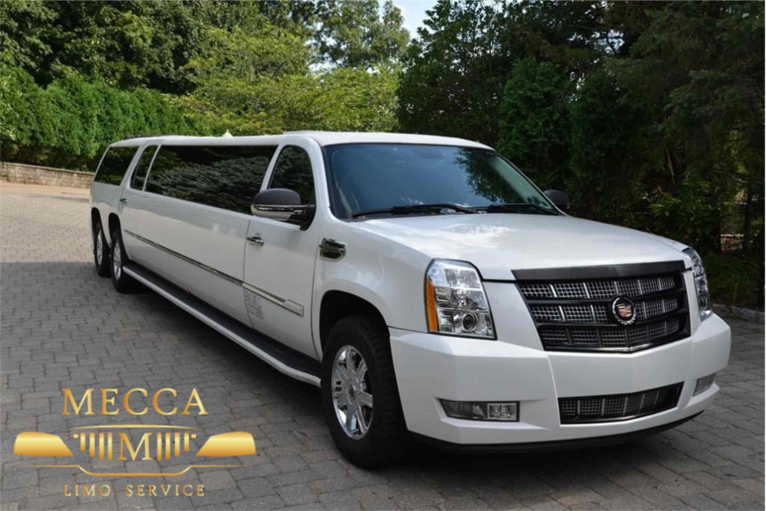 the-expert-limo-rental-charleston-sc