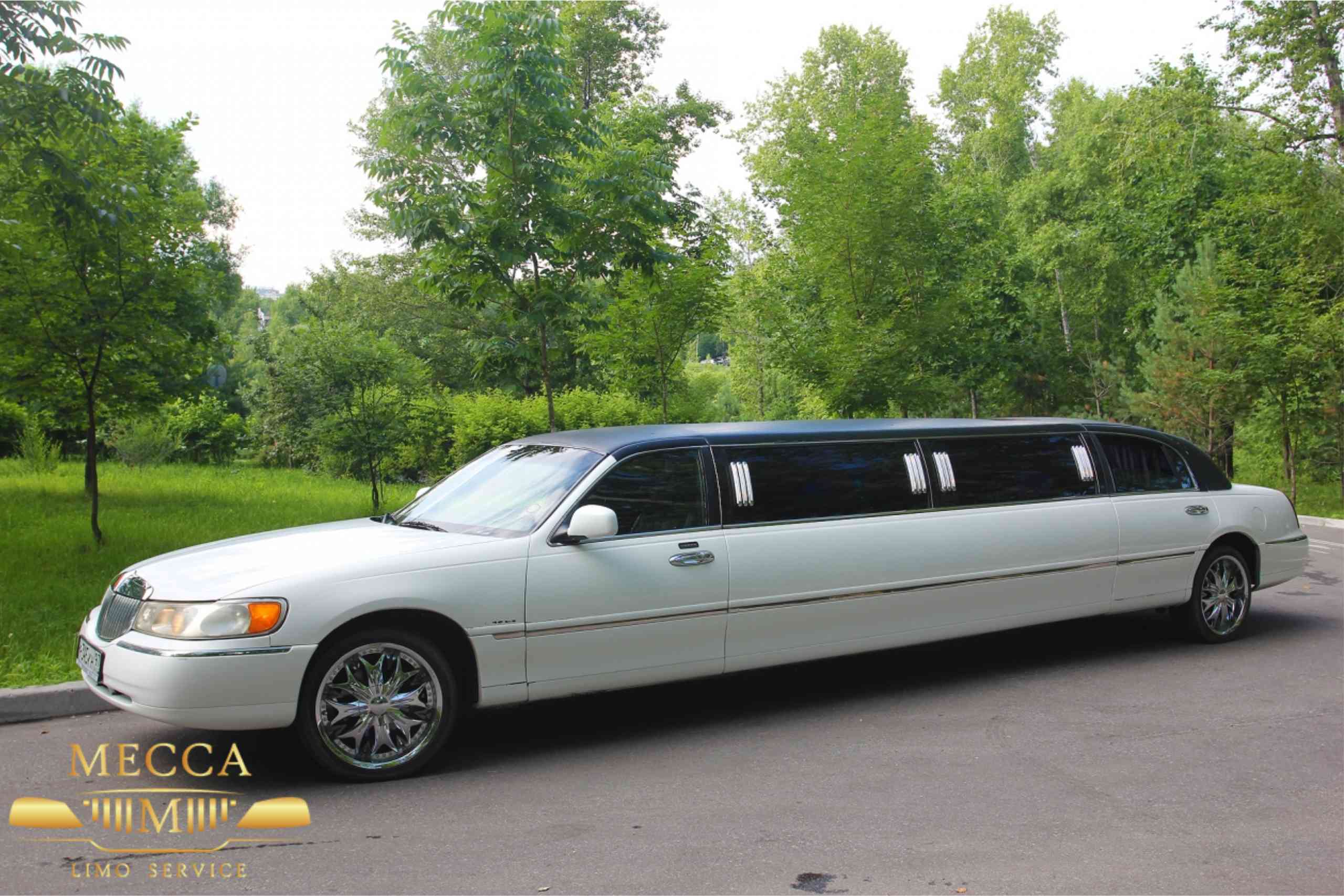 top-10-charleston-transportation-services