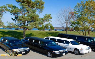 What is the best way to get around Charleston? A Transportation Guide