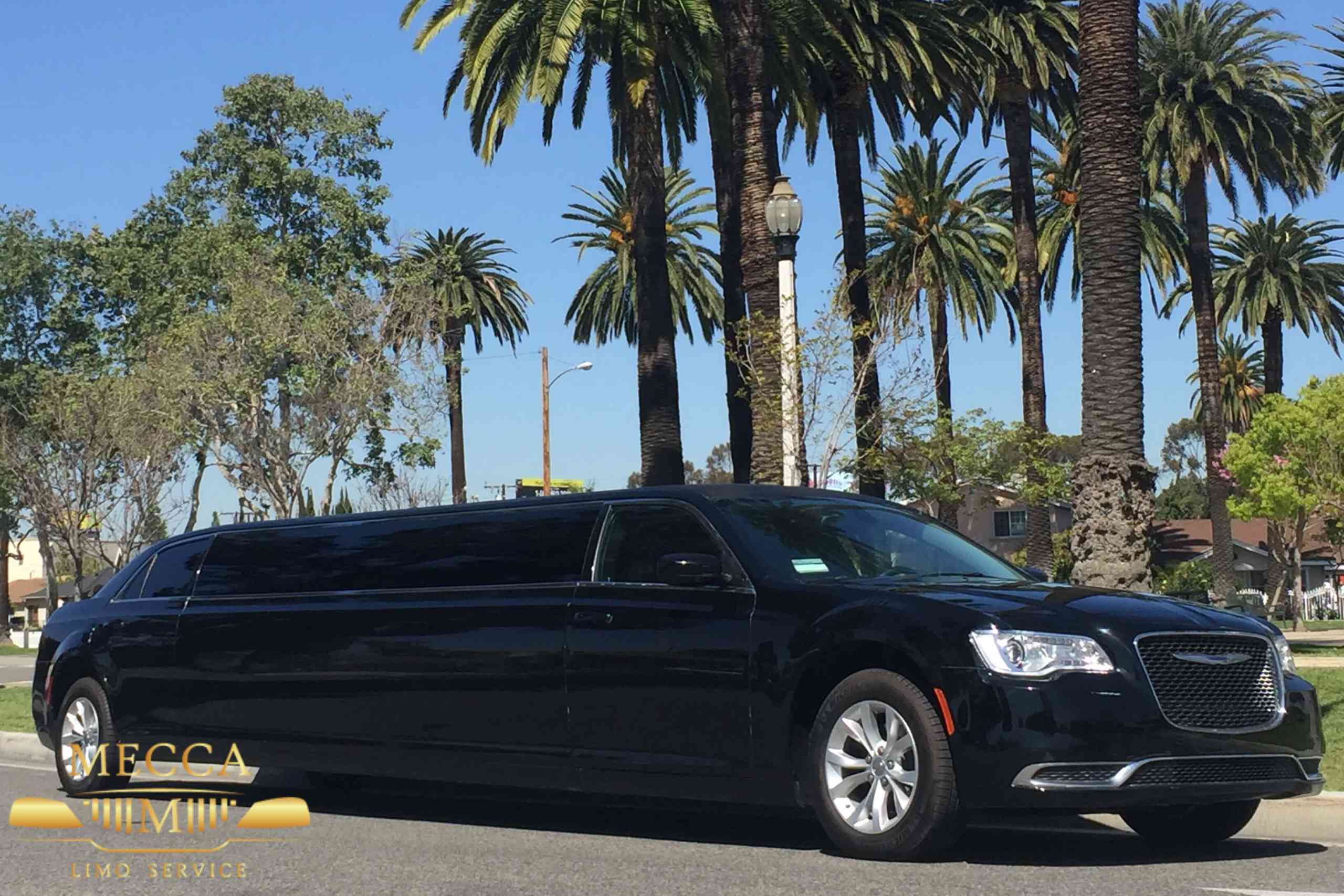 executive-limousine-service (2) executive-limousine-service