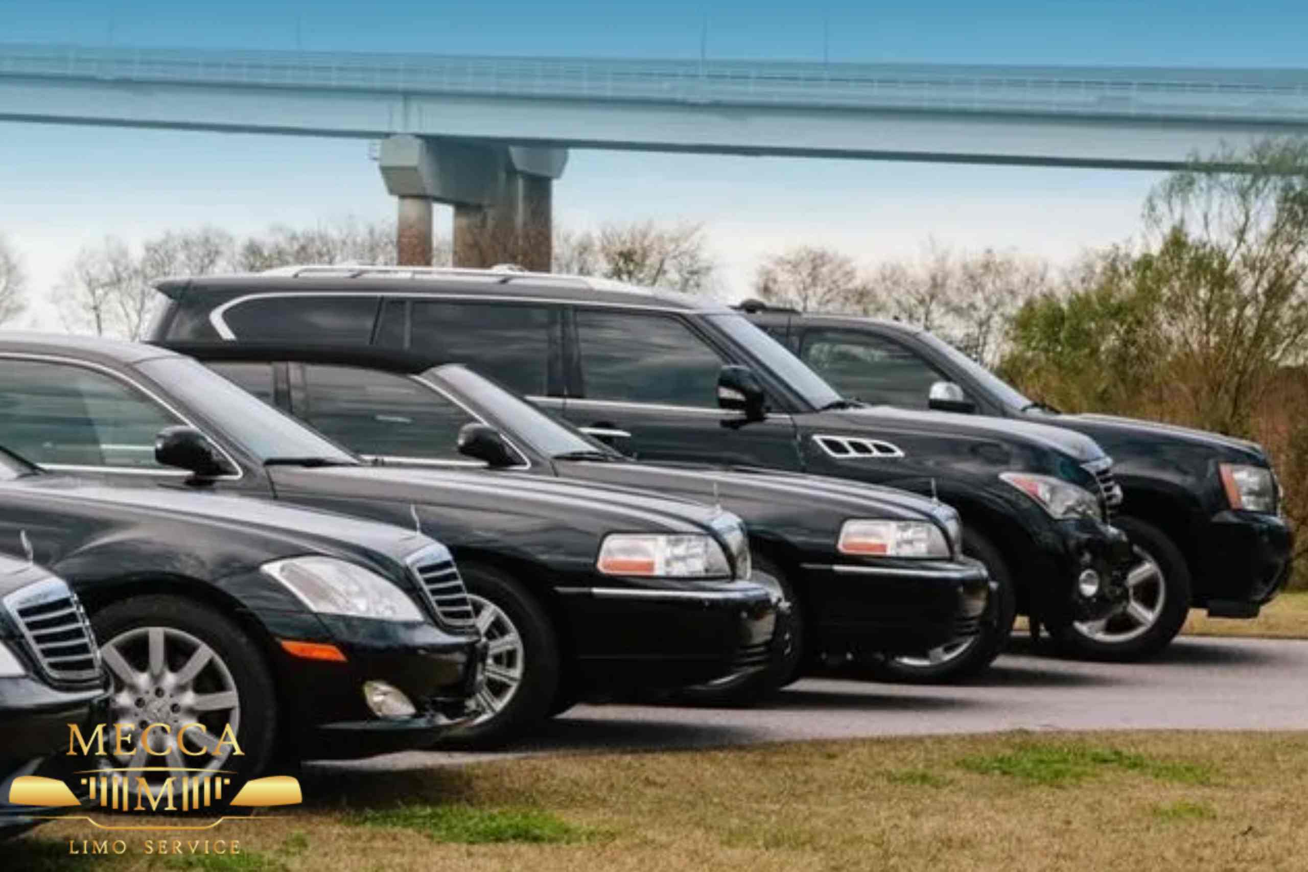 top-7-charleston-car-services top-7-charleston-car-services